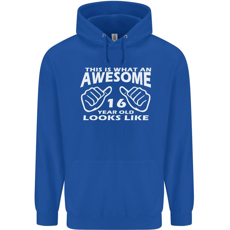 16th Birthday 16 Year Old This Is What Mens 80% Cotton Hoodie Royal Blue