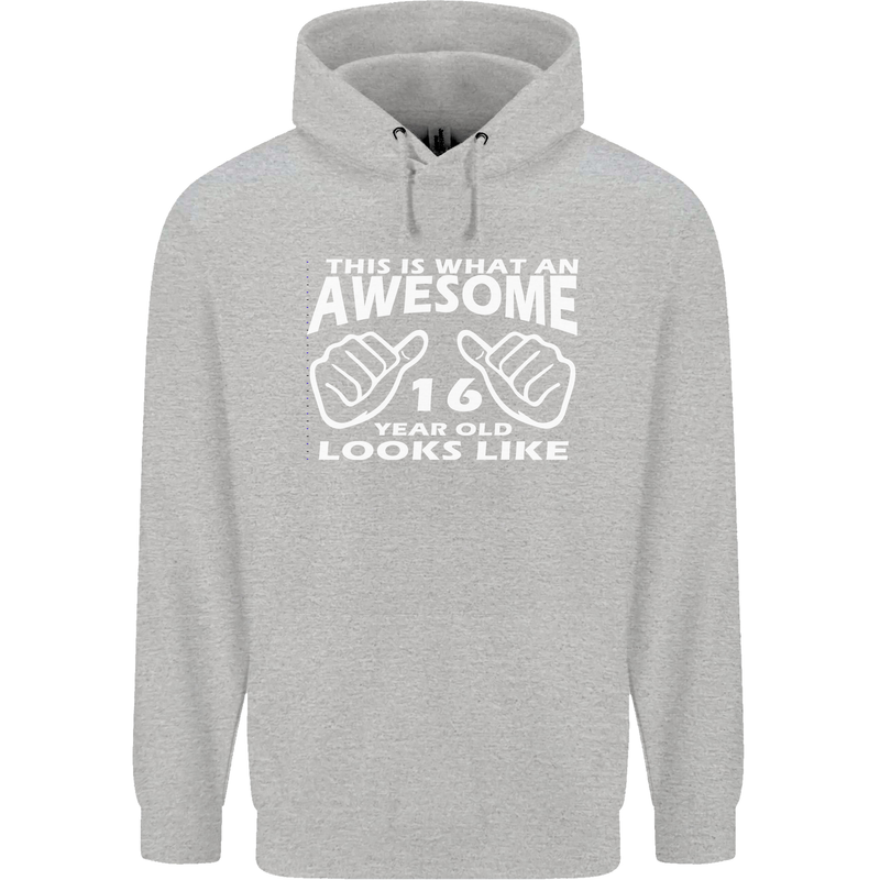 16th Birthday 16 Year Old This Is What Mens 80% Cotton Hoodie Sports Grey