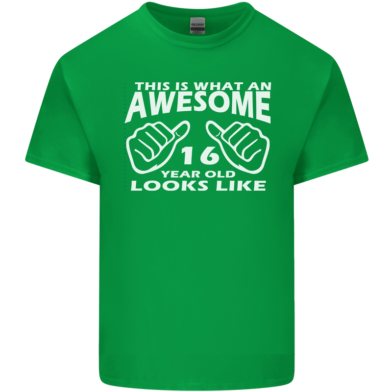 16th Birthday 16 Year Old This Is What Mens Cotton T-Shirt Tee Top Irish Green