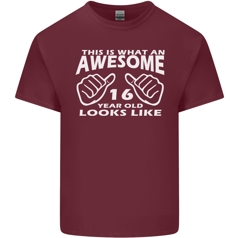 16th Birthday 16 Year Old This Is What Mens Cotton T-Shirt Tee Top Maroon