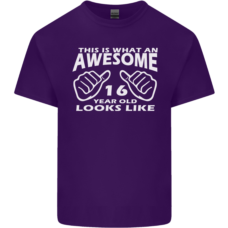 16th Birthday 16 Year Old This Is What Mens Cotton T-Shirt Tee Top Purple