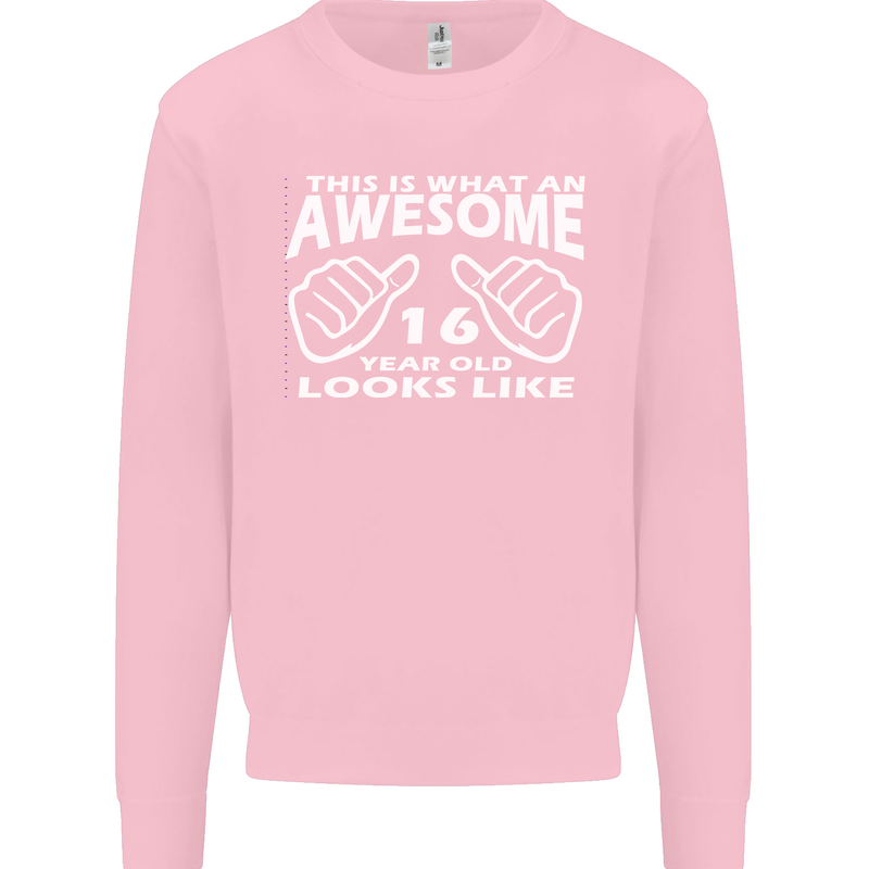 16th Birthday 16 Year Old This Is What Mens Sweatshirt Jumper Light Pink