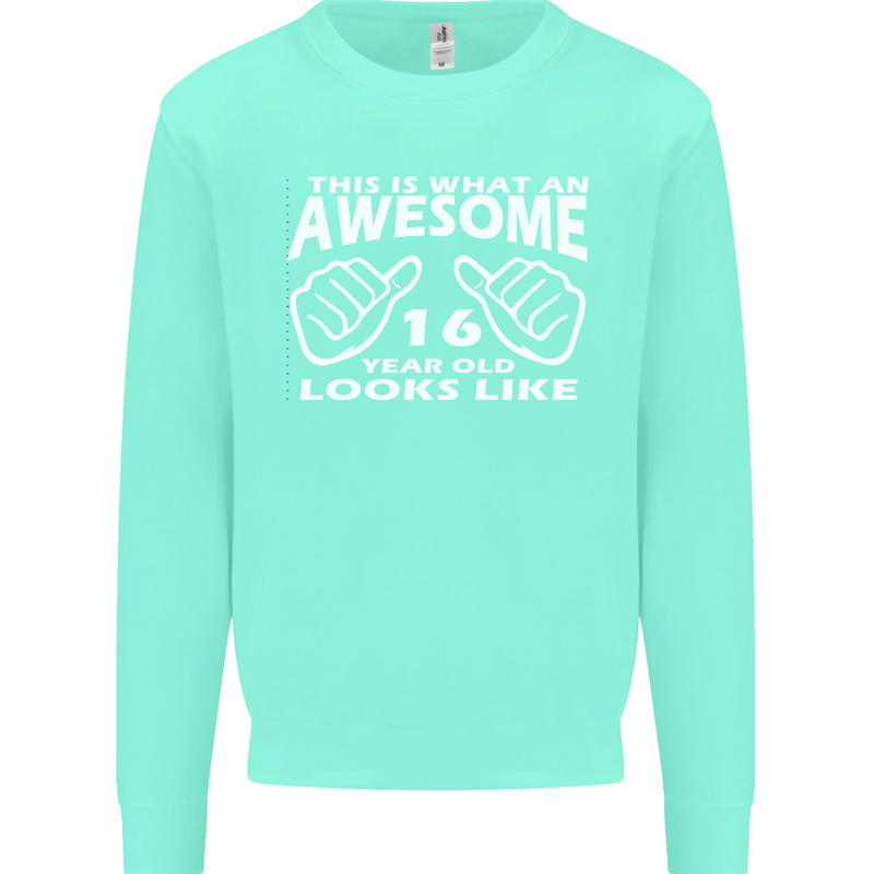 16th Birthday 16 Year Old This Is What Mens Sweatshirt Jumper Peppermint
