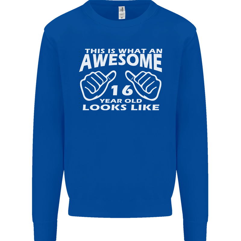 16th Birthday 16 Year Old This Is What Mens Sweatshirt Jumper Royal Blue