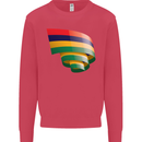 Curled Mauritius Flag Mauritians Day Football Kids Sweatshirt Jumper Heliconia
