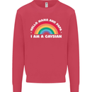 Hello Mama & Papa Im a Gaysian LGBT Kids Sweatshirt Jumper Heliconia