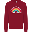 Hello Mama & Papa Im a Gaysian LGBT Kids Sweatshirt Jumper Red