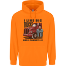 Lorry Driver I Like Big Trucks I Cannot Lie Trucker Childrens Kids Hoodie Orange