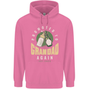 Promoted to Grandad Est. 2023 Mens 80% Cotton Hoodie Azelea