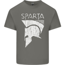 Sparta Helmet Bodybuilding Training Gym Mens Cotton T-Shirt Tee Top Charcoal