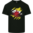 Torn Brunei Flag Bruneian Day Football Mens Cotton T-Shirt Tee Top Black