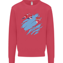 Torn Fiji Flag Fijian Day Football Kids Sweatshirt Jumper Heliconia