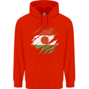 Torn Niger Flag Nigerien Day Football Mens 80% Cotton Hoodie Bright Red