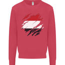 Torn Yemen Flag Yemeni Day Football Kids Sweatshirt Jumper Heliconia