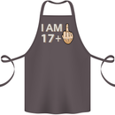 18th Birthday Funny Offensive 18 Year Old Cotton Apron 100% Organic Dark Grey
