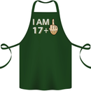 18th Birthday Funny Offensive 18 Year Old Cotton Apron 100% Organic Forest Green