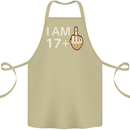 18th Birthday Funny Offensive 18 Year Old Cotton Apron 100% Organic Khaki