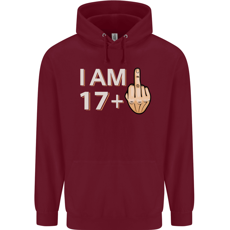 18th Birthday Funny Offensive 18 Year Old Mens 80% Cotton Hoodie Maroon