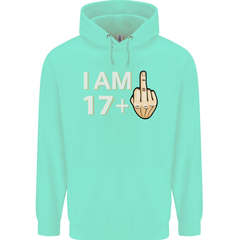 18th Birthday Funny Offensive 18 Year Old Mens 80% Cotton Hoodie Peppermint