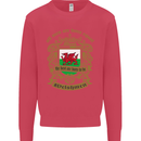 All Men Are Born Equal Welshmen Wales Welsh Mens Sweatshirt Jumper Heliconia