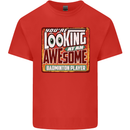 An Awesome Badminton Mens Cotton T-Shirt Tee Top Red