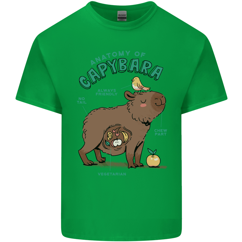 Anatomy of a Apybara Funny Kids T-Shirt Childrens Irish Green
