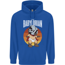 Babylorian Funny Baby Infant Toddler Parody Mens 80% Cotton Hoodie Royal Blue