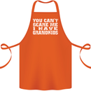 Can't Scare Me Grandkids Grandparent's Day Cotton Apron 100% Organic Orange