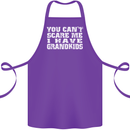Can't Scare Me Grandkids Grandparent's Day Cotton Apron 100% Organic Purple