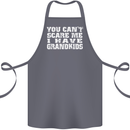Can't Scare Me Grandkids Grandparent's Day Cotton Apron 100% Organic Steel