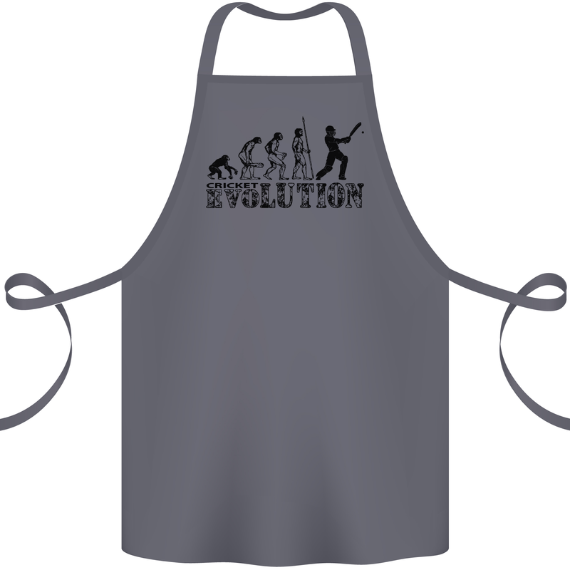 Evolution of a Cricketer Cricket Funny Cotton Apron 100% Organic Steel