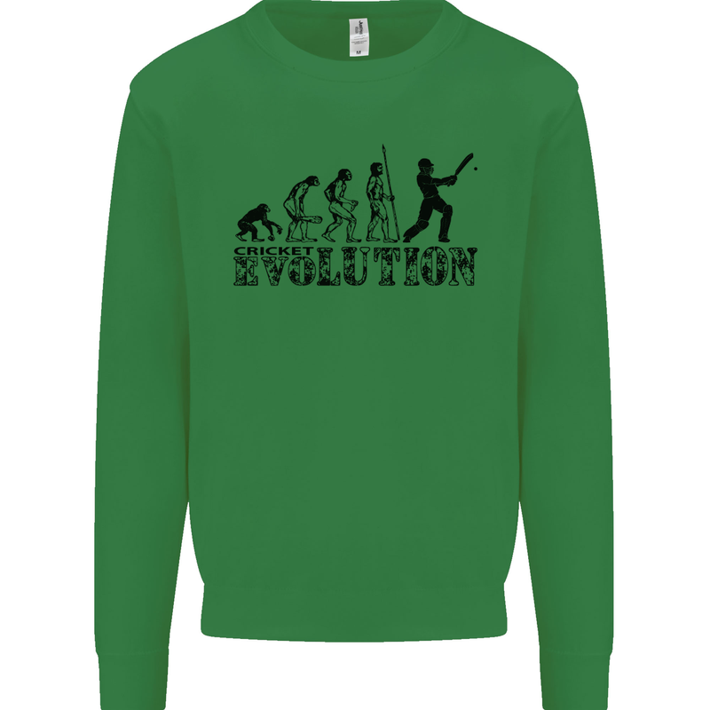 Evolution of a Cricketer Cricket Funny Kids Sweatshirt Jumper Irish Green