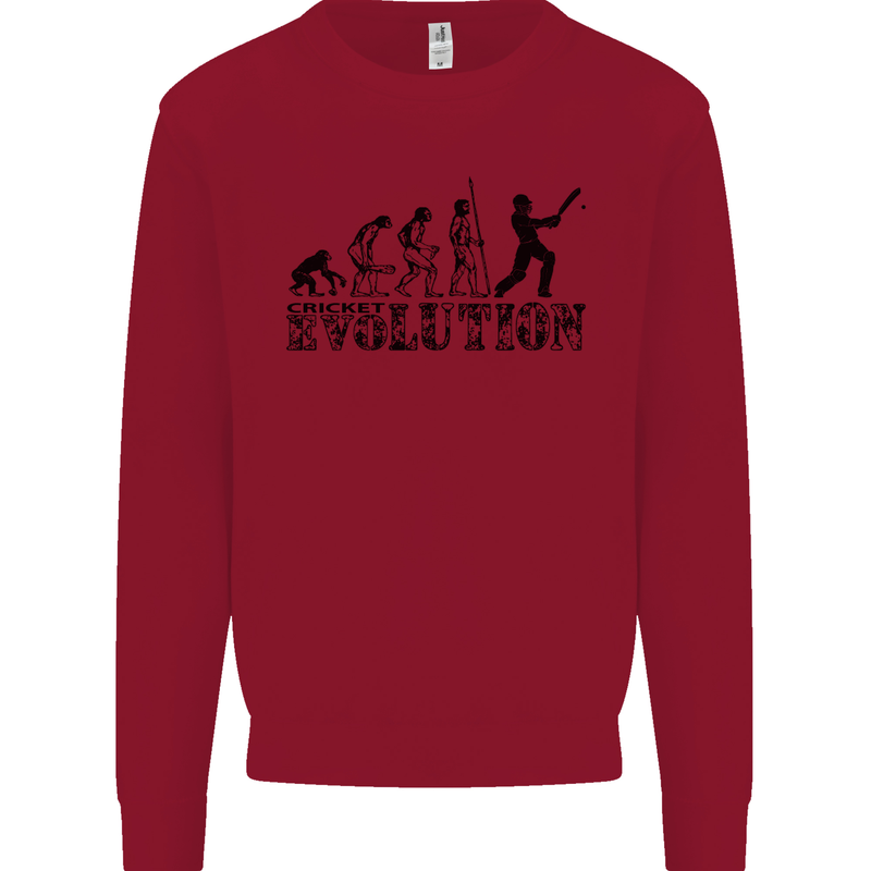 Evolution of a Cricketer Cricket Funny Kids Sweatshirt Jumper Red