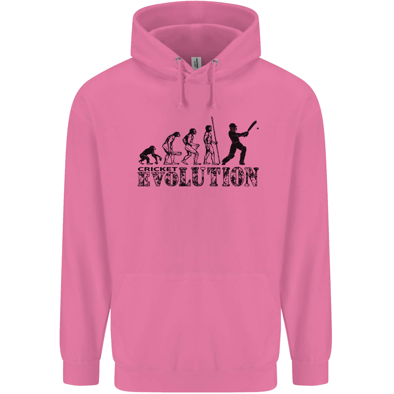 Evolution of a Cricketer Cricket Funny Mens 80% Cotton Hoodie Azelea
