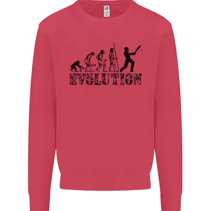 Evolution of a Cricketer Cricket Funny Mens Sweatshirt Jumper Heliconia