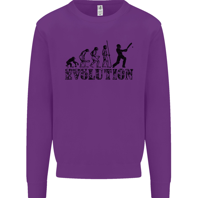 Evolution of a Cricketer Cricket Funny Mens Sweatshirt Jumper Purple