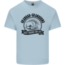 Grandad & Grandsons Grandparent's Day Kids T-Shirt Childrens Light Blue