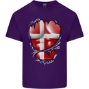 Gym Danish Flag Ripped Muscles Denmark Mens Cotton T-Shirt Tee Top Purple