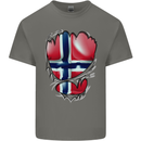 Gym Norwegian Flag Ripped Muscles Norway Mens Cotton T-Shirt Tee Top Charcoal