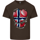 Gym Norwegian Flag Ripped Muscles Norway Mens Cotton T-Shirt Tee Top Dark Chocolate