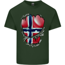 Gym Norwegian Flag Ripped Muscles Norway Mens Cotton T-Shirt Tee Top Forest Green