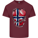Gym Norwegian Flag Ripped Muscles Norway Mens Cotton T-Shirt Tee Top Maroon