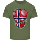 Gym Norwegian Flag Ripped Muscles Norway Mens Cotton T-Shirt Tee Top Military Green