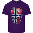 Gym Norwegian Flag Ripped Muscles Norway Mens Cotton T-Shirt Tee Top Purple