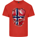 Gym Norwegian Flag Ripped Muscles Norway Mens Cotton T-Shirt Tee Top Red