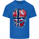 Gym Norwegian Flag Ripped Muscles Norway Mens Cotton T-Shirt Tee Top Royal Blue