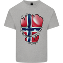 Gym Norwegian Flag Ripped Muscles Norway Mens Cotton T-Shirt Tee Top Sports Grey