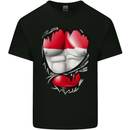 Gym The Austrian Flag Ripped Muscles Austia Mens Cotton T-Shirt Tee Top Black