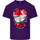 Gym The Austrian Flag Ripped Muscles Austia Mens Cotton T-Shirt Tee Top Purple