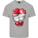 Gym The Austrian Flag Ripped Muscles Austia Mens Cotton T-Shirt Tee Top Sports Grey